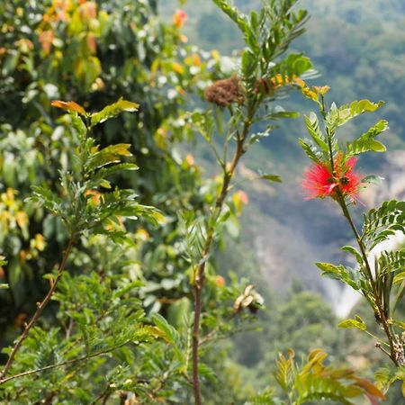 Aranyaka Resorts Munnar Kültér fotó