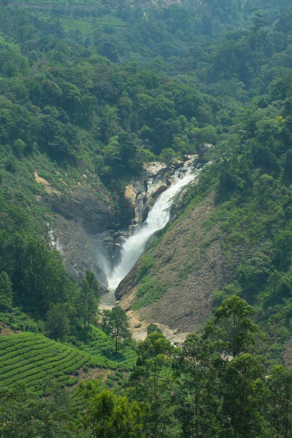 Aranyaka Resorts Munnar Kültér fotó